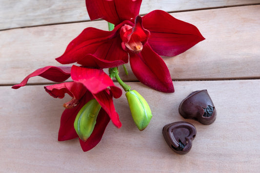 Introducing Chocol'Arte At ChocoSol's St. Lawrence Market Boutique