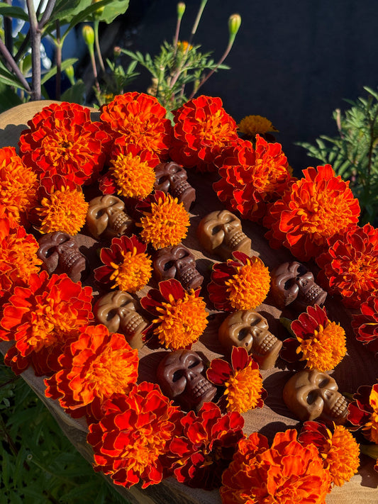 Cacao, Memory, and the Living Tradition of DÃa de los Muertos