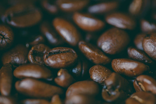 ChocoSol Oaxaca Profundo Coffee Beans