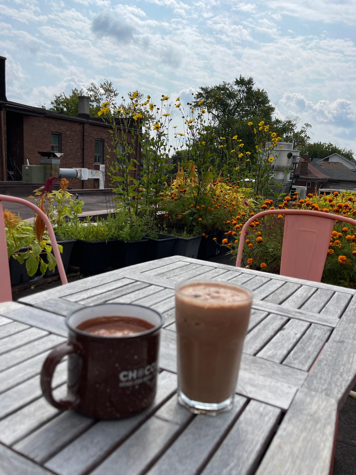 ChocoLearning | ChocoSol Workshop (Thursdays)