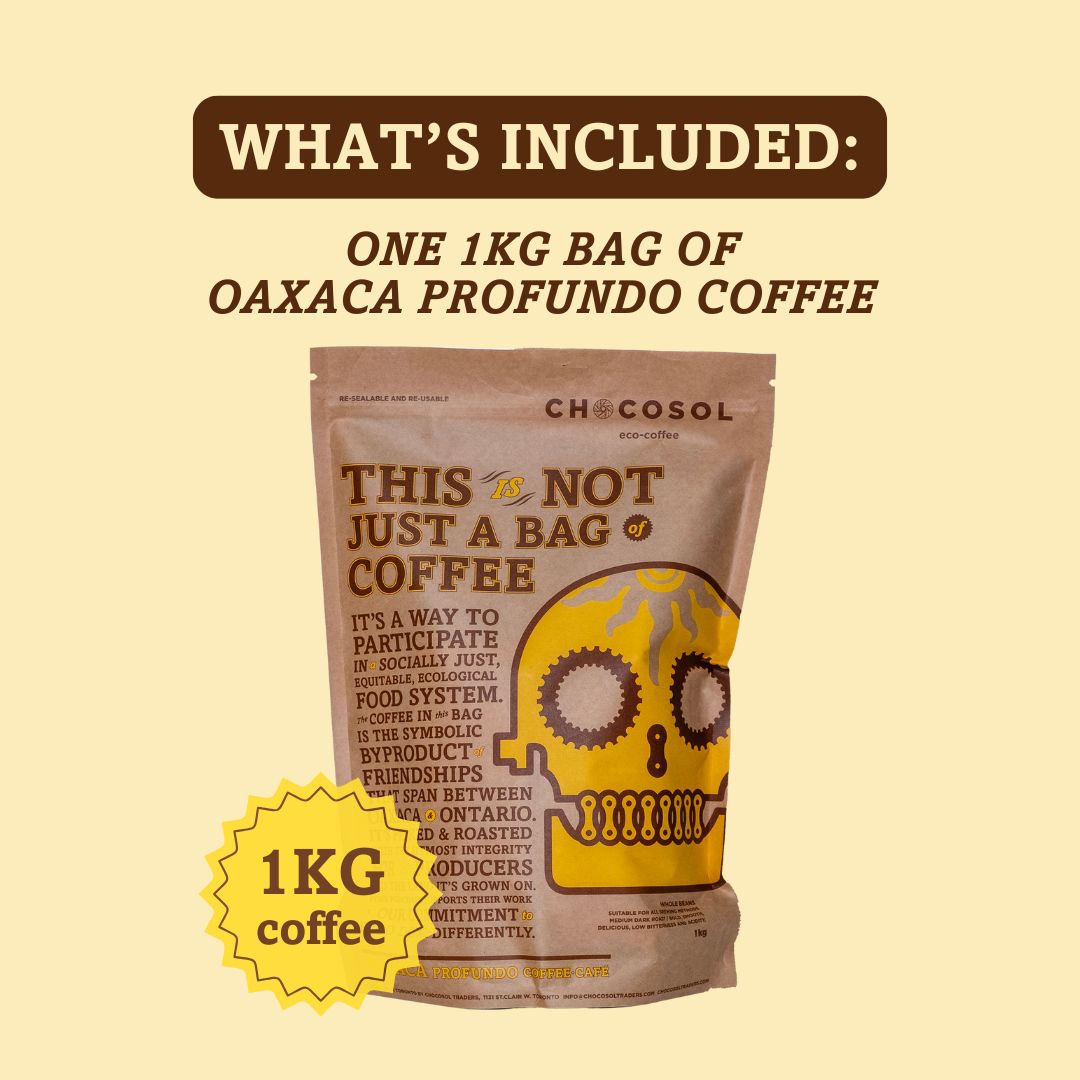 Café 1Kg et cacao ChocoSolista | Grand coffret d'abonnement