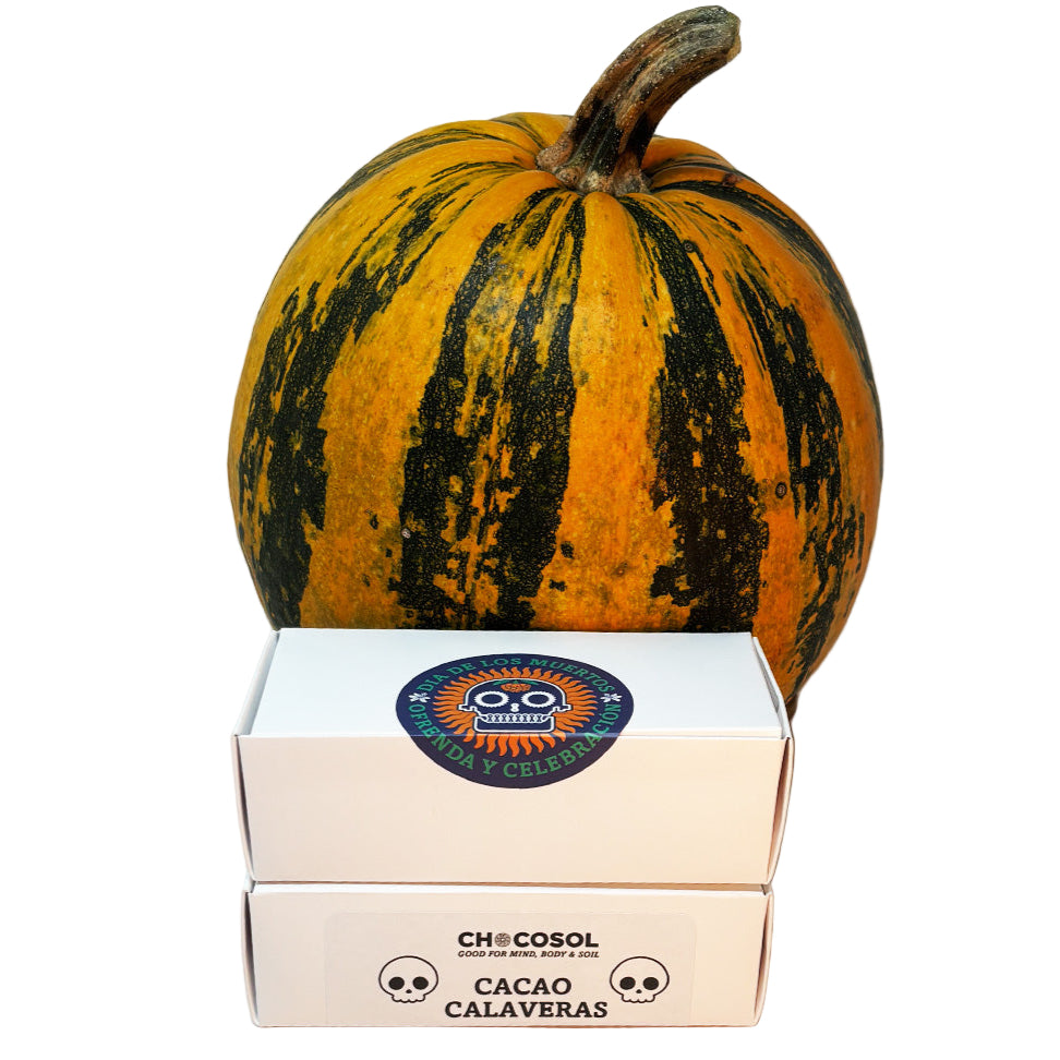 Cacao Calaveras | Mini Skull 10-Pack
