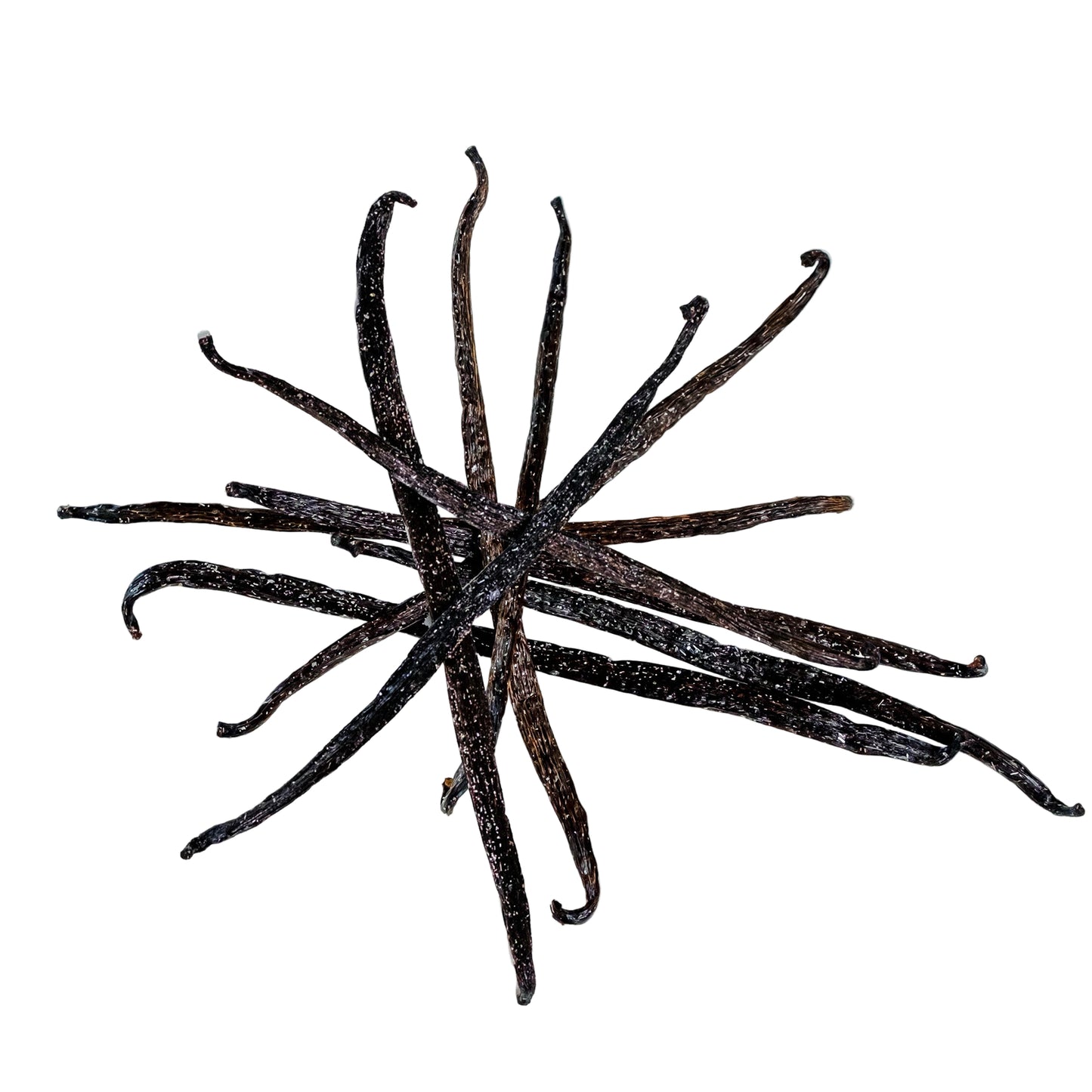 A cluster of fresh vanilla pods on a white background.
