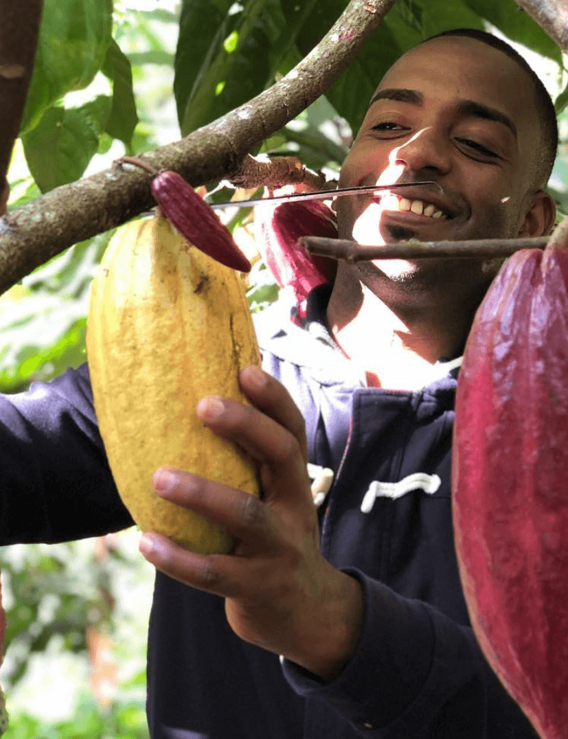 ChocoLearning | ChocoSol Workshop (Thursdays)
