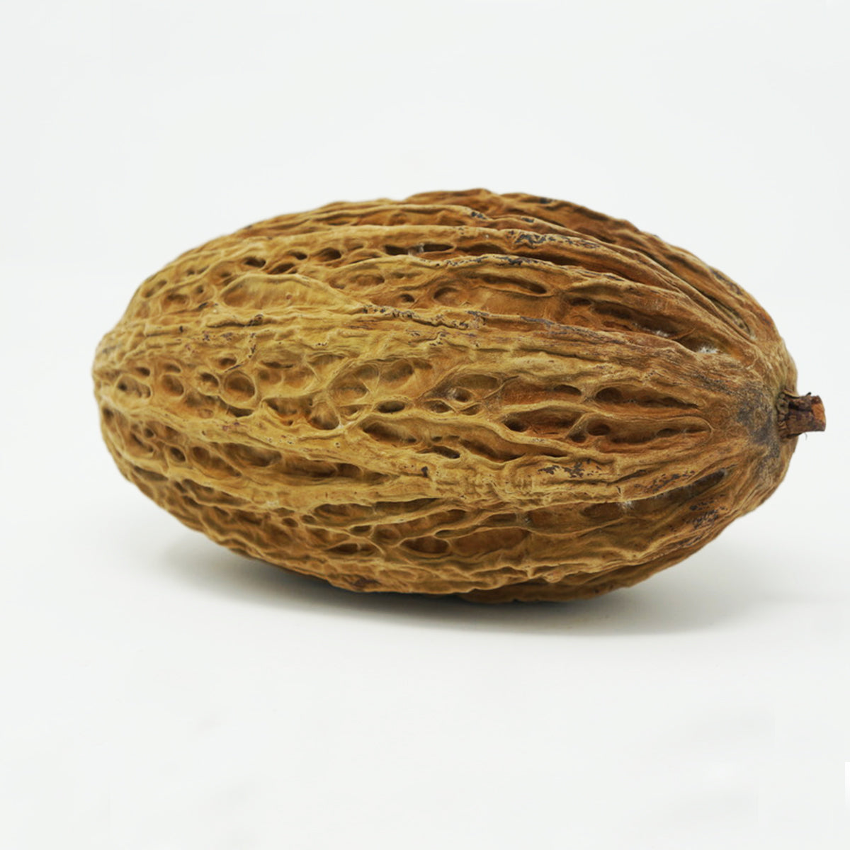 Jaguar Pod
