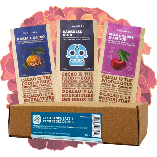 Some Updates to the ChocoSol Online Boutique