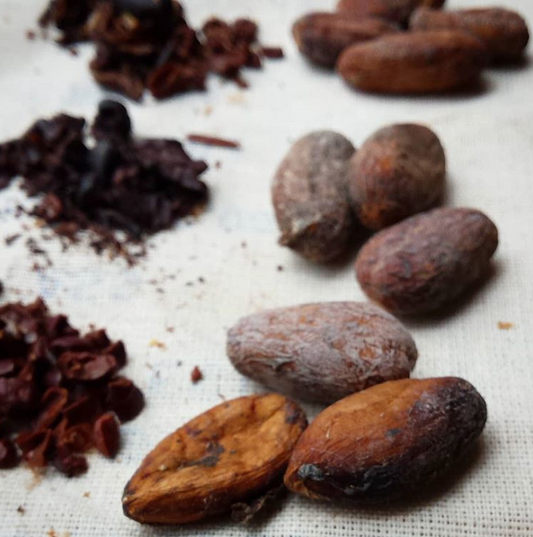 An Uncommon Partnership: Working Together to Disrupt the Cacao Supply Chain