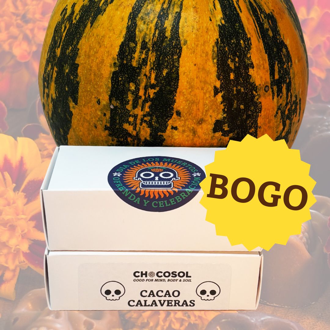 Cacao Calaveras | Mini Skull 10-Pack