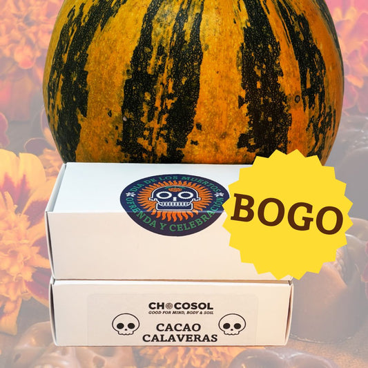 Cacao Calaveras | Mini Skull 10-Pack