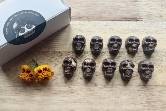 Brainy Calaveras | Mini Skull 10-Pack