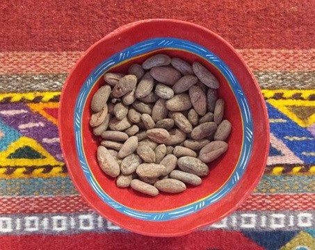 Cacao is Food Tasting Experience