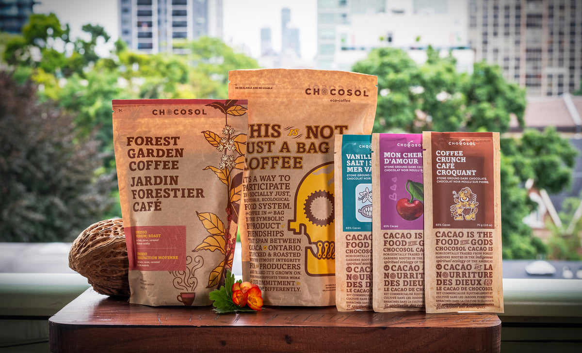 Chocosol ChocoSol | Ethical & Ecological Dark Chocolate – ChocoSol Traders