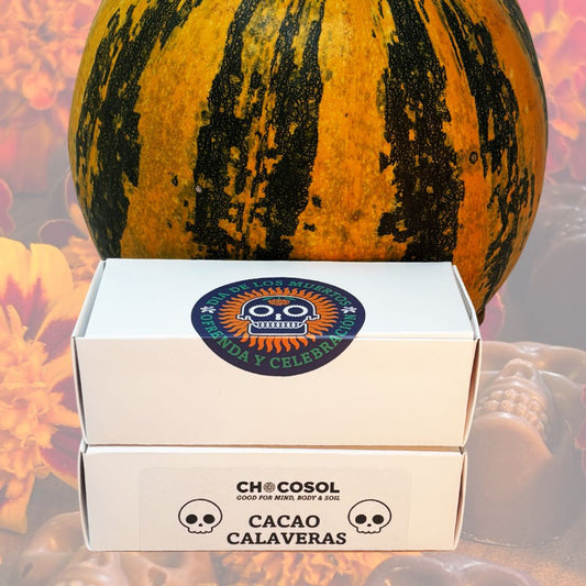 Cacao Calaveras | Mini Skull 10-Pack