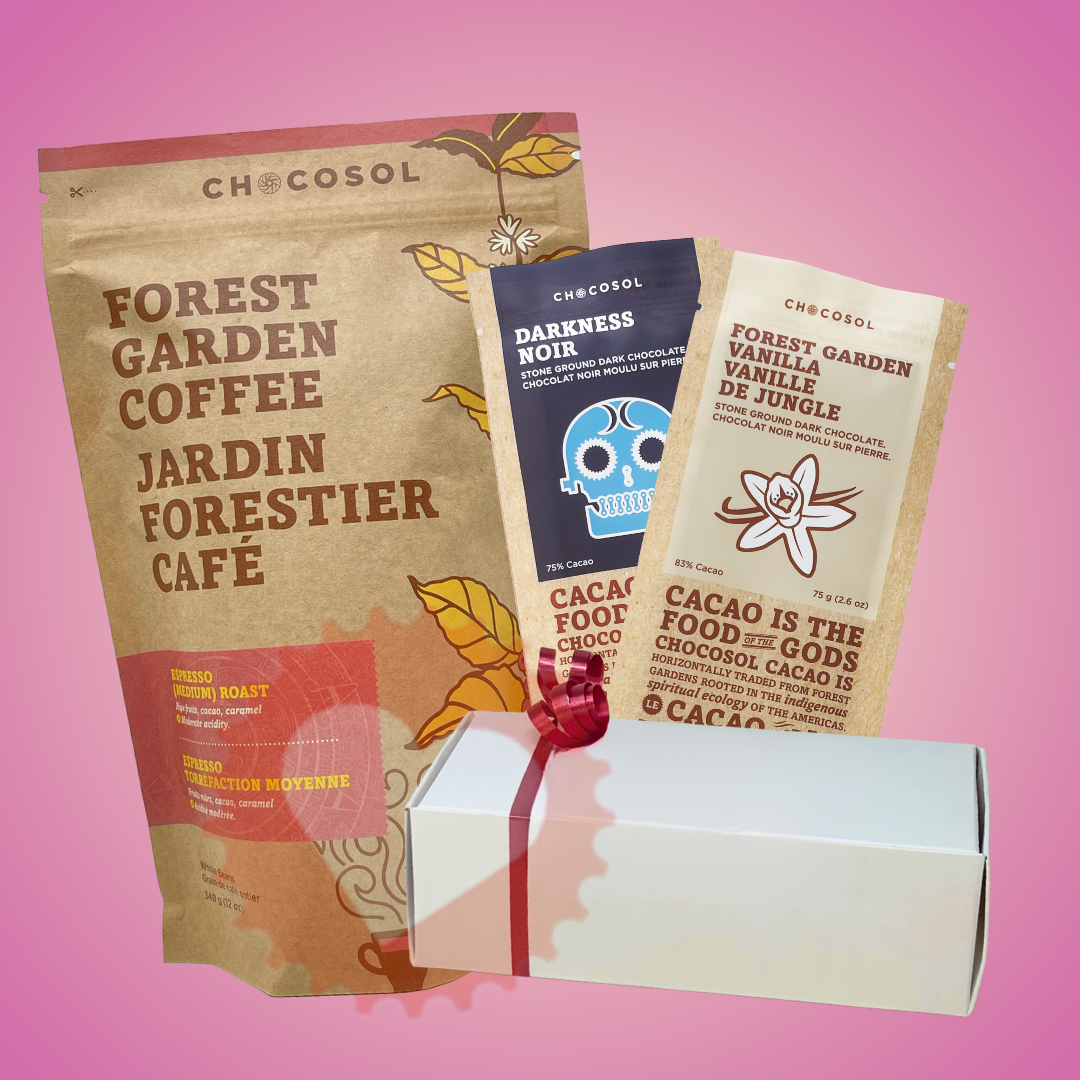 Dark Devotion | Valentine's Gift Pack