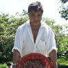 ChocoSol | Ethical & Ecological Dark Chocolate – ChocoSol Traders