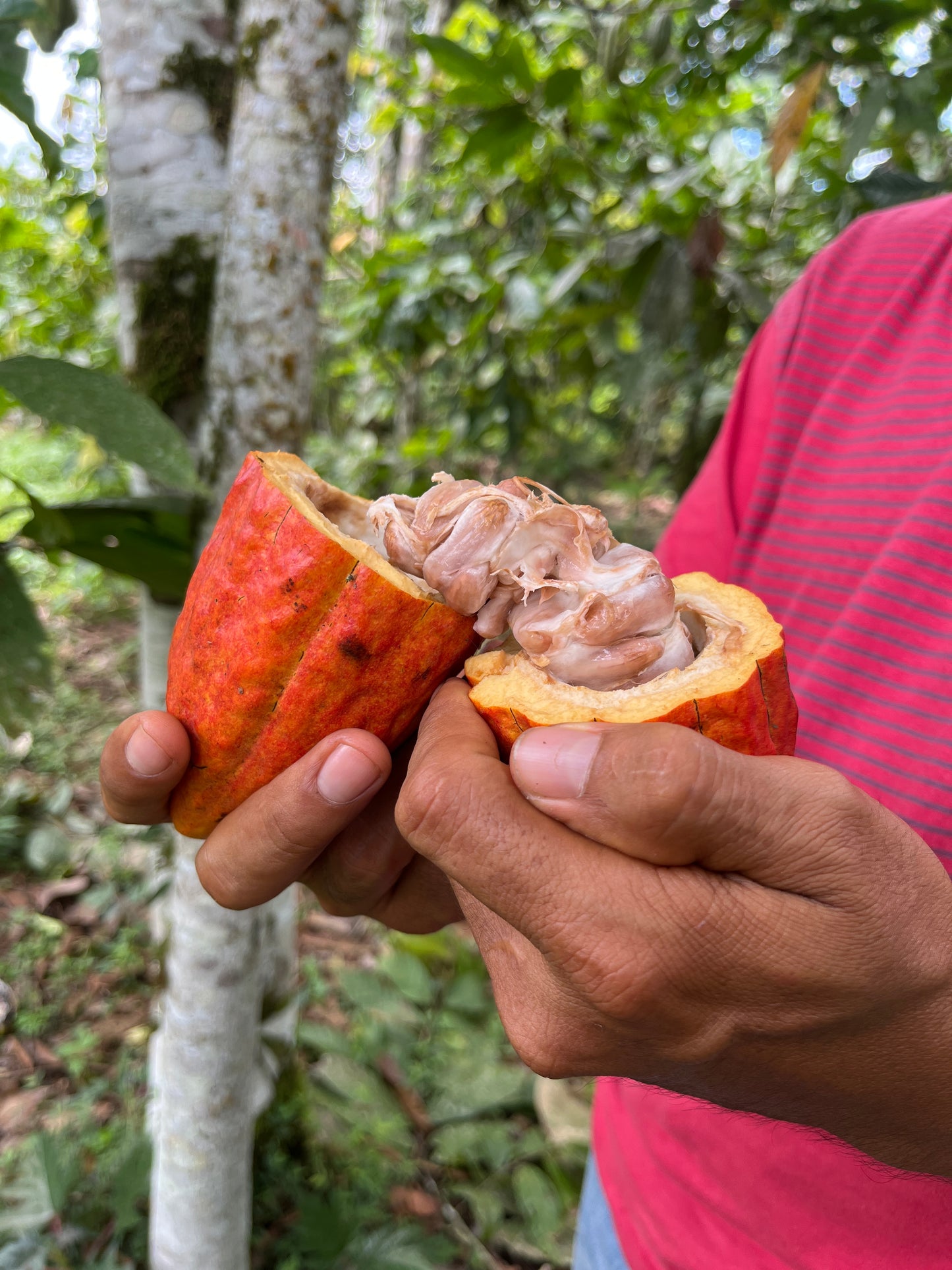 March Madness! March Break Children's Workshop!