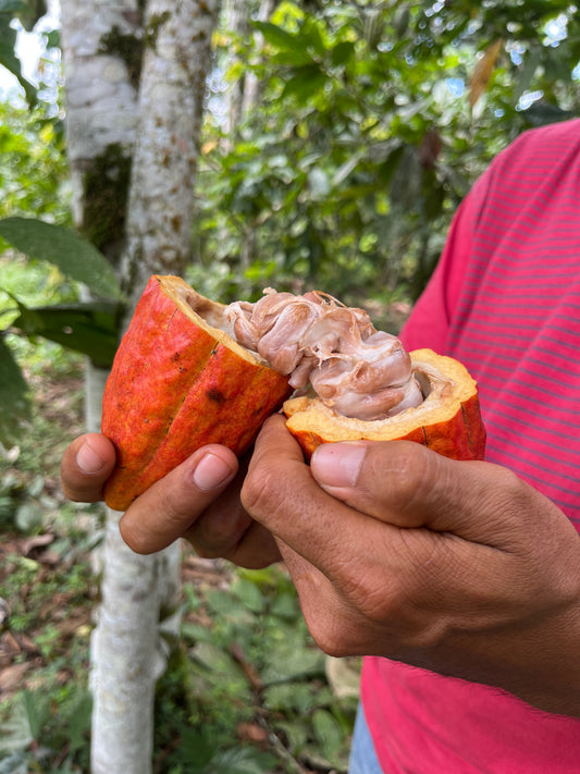March Madness! March Break Children's Workshop!