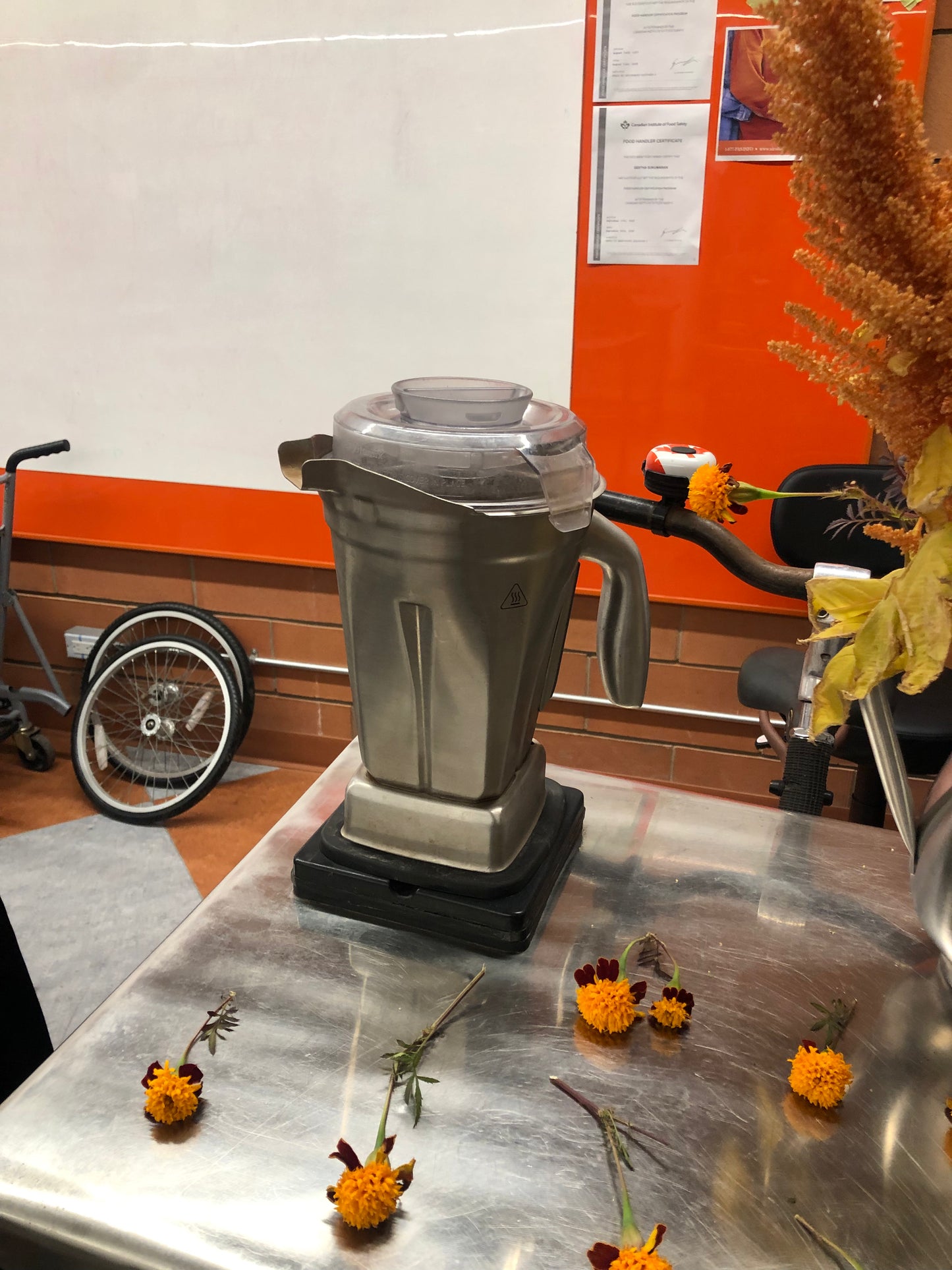 March Madness! March Break Children's Workshop!